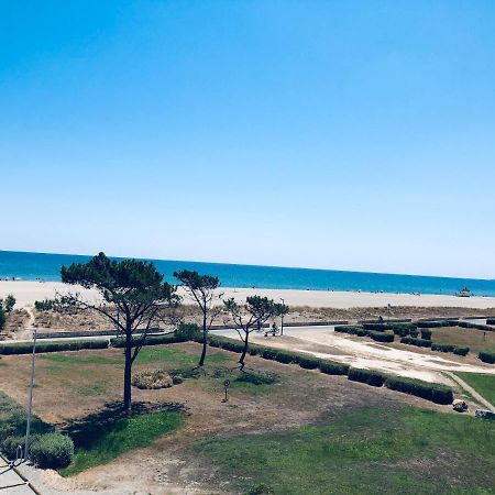 Sur La Plage, Vue Sur Mer, Spacieux T3 Au Calme Saint-Cyprien  Buitenkant foto