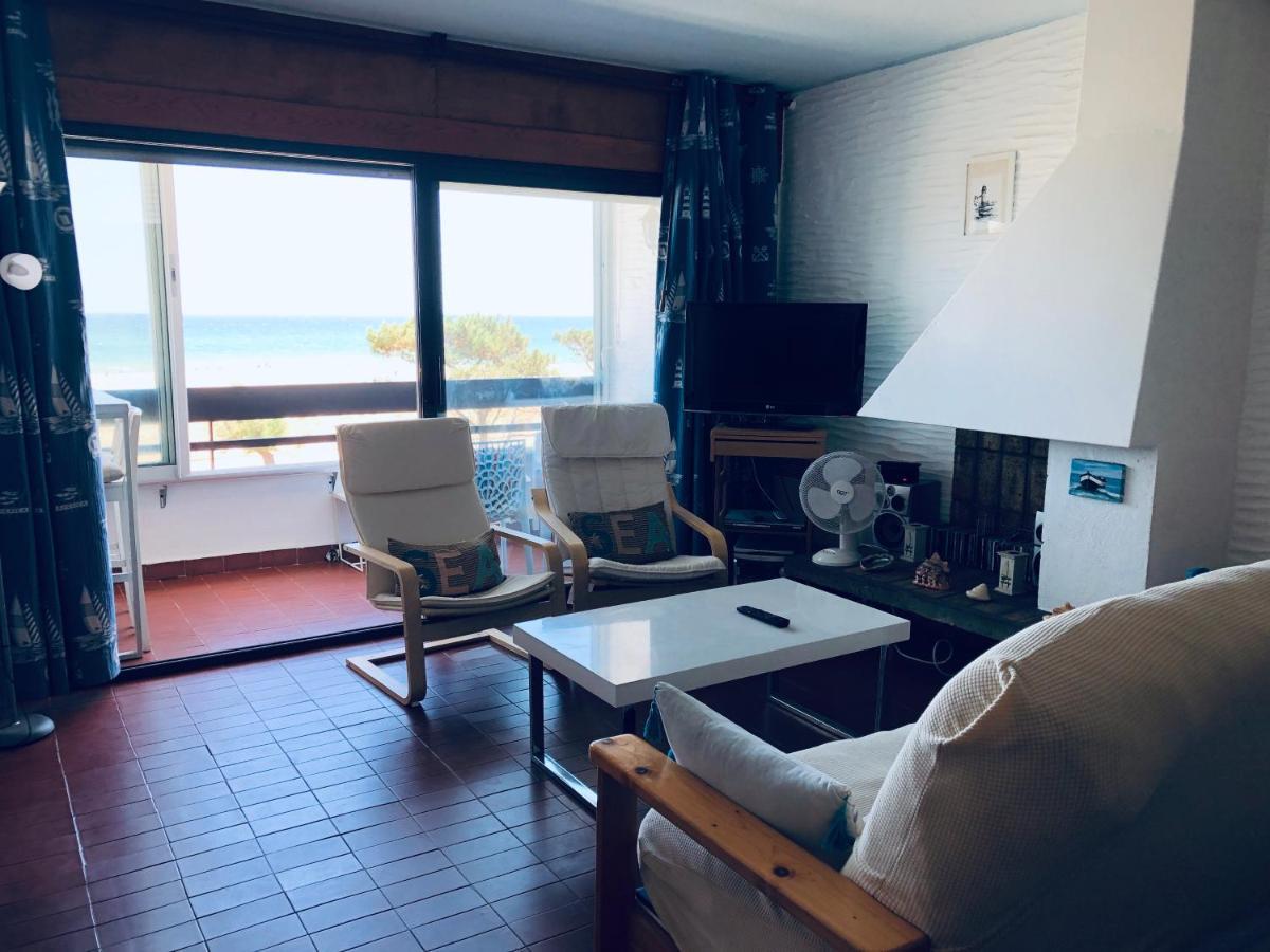 Sur La Plage, Vue Sur Mer, Spacieux T3 Au Calme Saint-Cyprien  Buitenkant foto